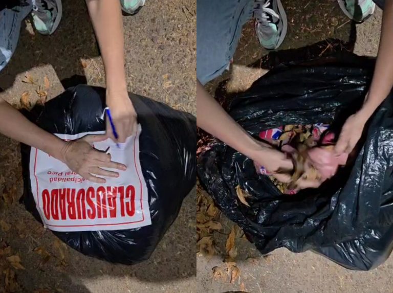 Secuestro de 75 kilos de embutidos en General Pico: los vendían sin control sanitario desde mochilas y un auto