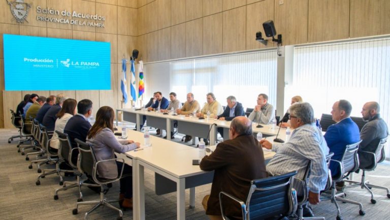 Ingresará carne con hueso al sur del Río Colorado: el documento completo del acuerdo entre Gobierno provincial, productores y frigoríficos