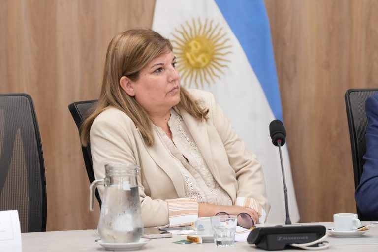 Piden al gobierno nacional rendir cuentas por los fondos del impuesto a los combustibles “no puede ser una caja negra”, advirtió Marcela Coli