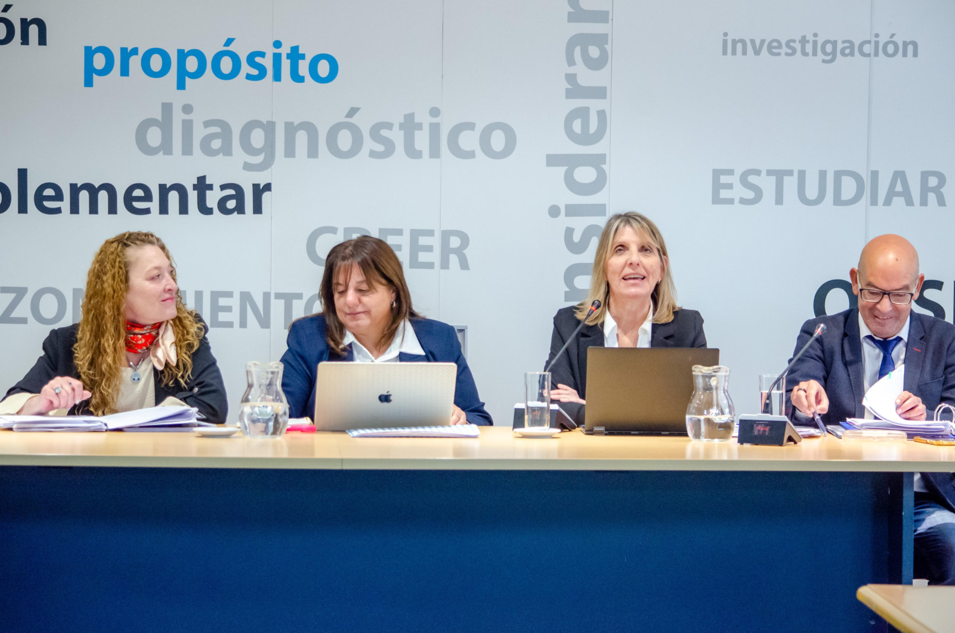La Comisión de Legislación Social debate auditoría de programas sociales en Diputados
