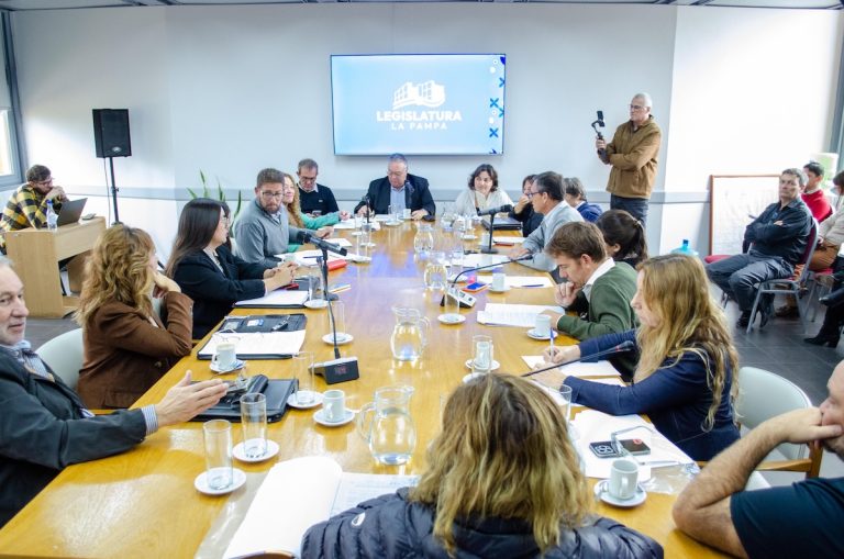 Sin quórum, postergan dictamen sobre recategorización automática de empleados públicos en La Pampa