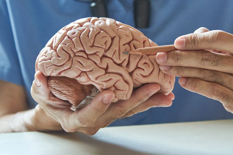 Salud y Conciencia: se viene la 2ª Jornada de Neurología en General Pico