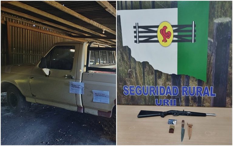 Interceptan a dos presuntos cazadores furtivos en zona rural: secuestraron un arma y una camioneta