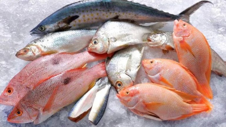Consejos para el consumo seguro de productos de la pesca durante Semana Santa