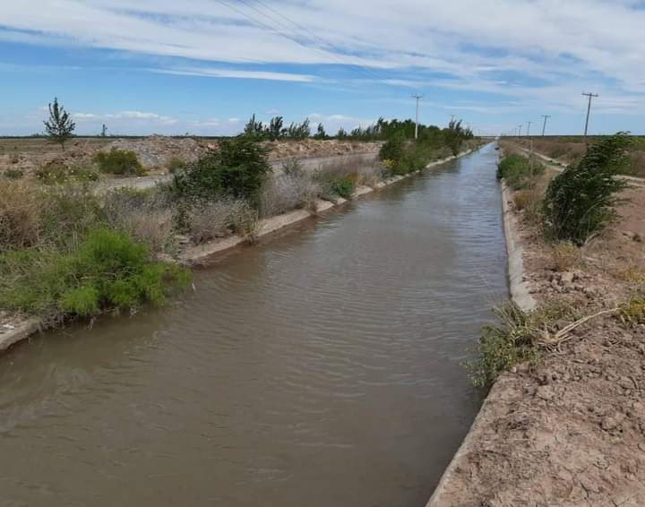 Comienza la veda de riego en la región del Río Colorado