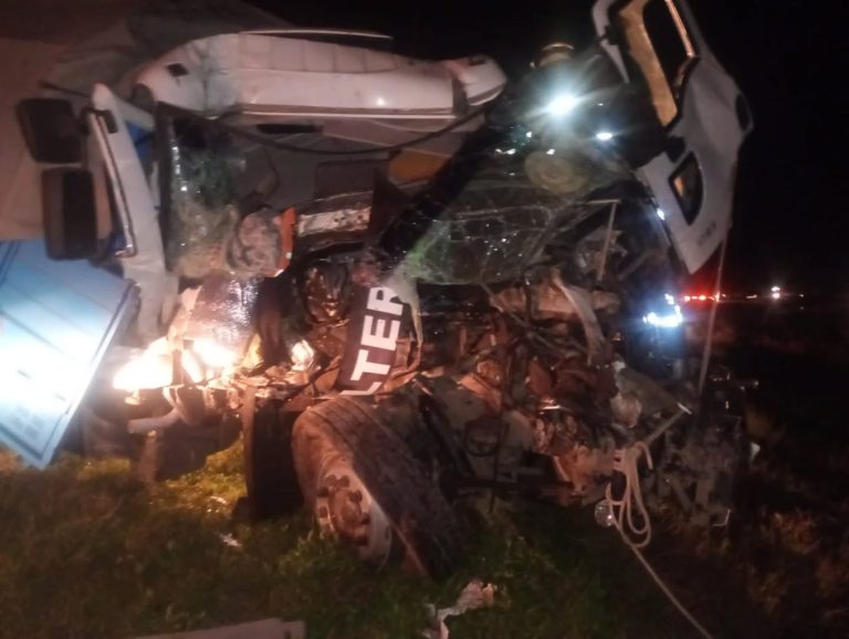 Camión de Quemú Quemú involucrado en fuerte choque en Ruta 33