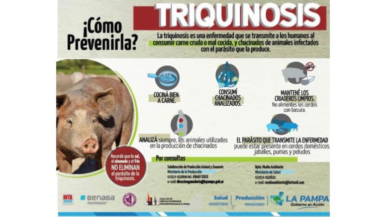Alertan sobre casos de triquinosis en jabalíes cazados en La Pampa