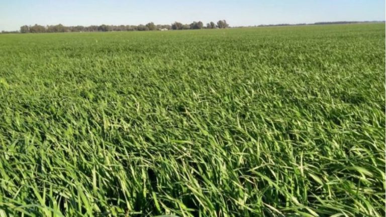 La Pampa lanza nueva línea de créditos para productores agropecuarios con beneficios adicionales para mujeres y disidencias