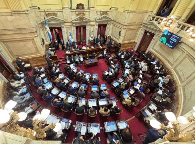 El Senado rechazó el proyecto Ficha Limpia
