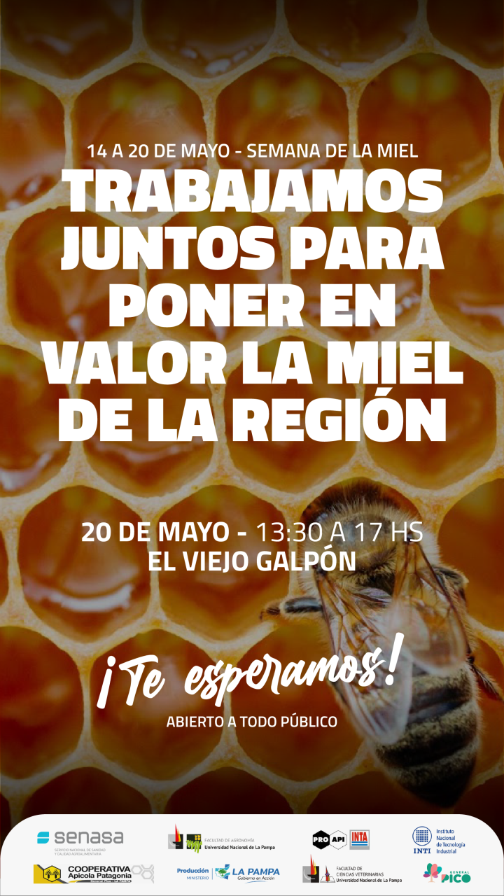 MIEL-DE-LA-REGION-06