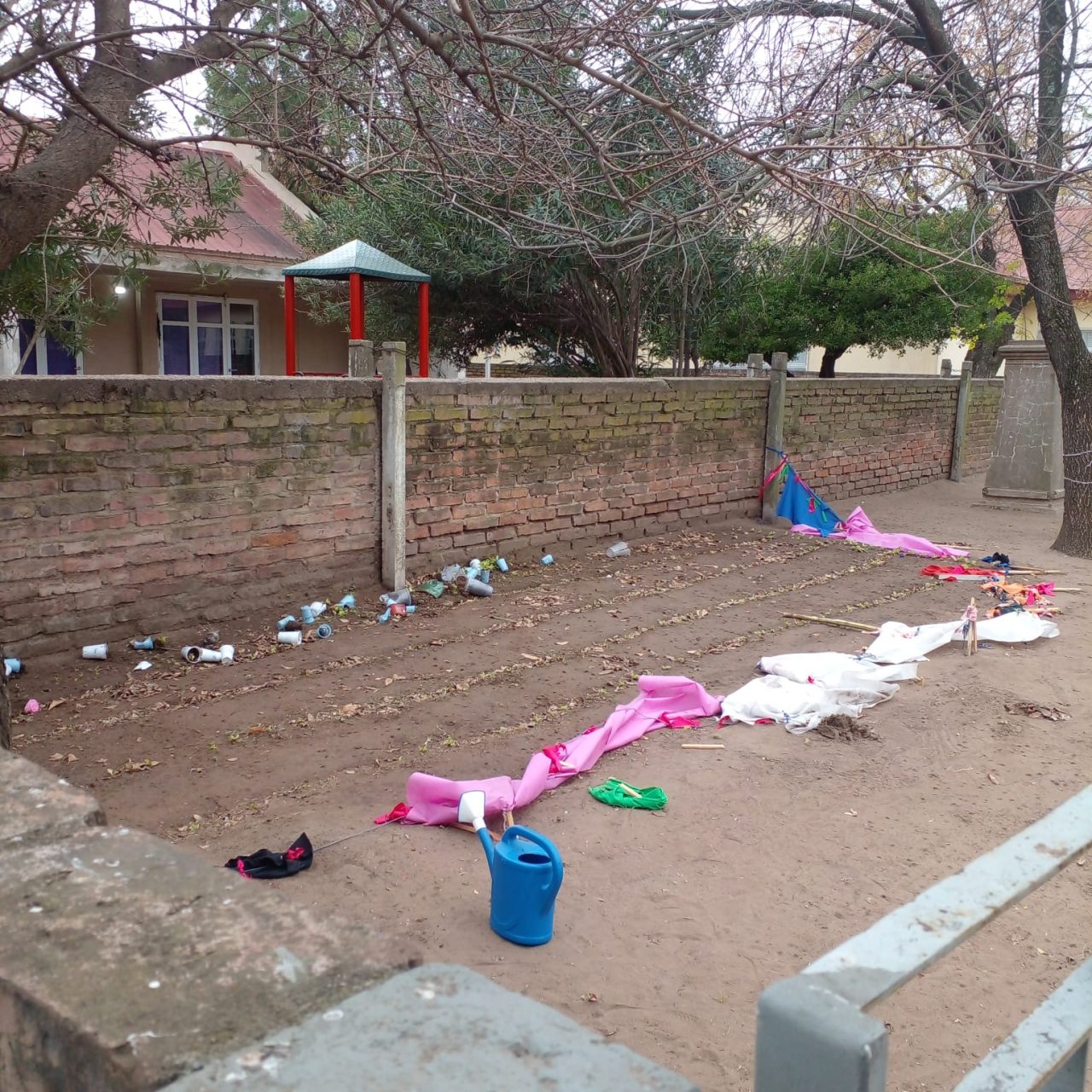 Vandalismo en la Escuela 111: destruyen huerta escolar de alumnos de sexto grado