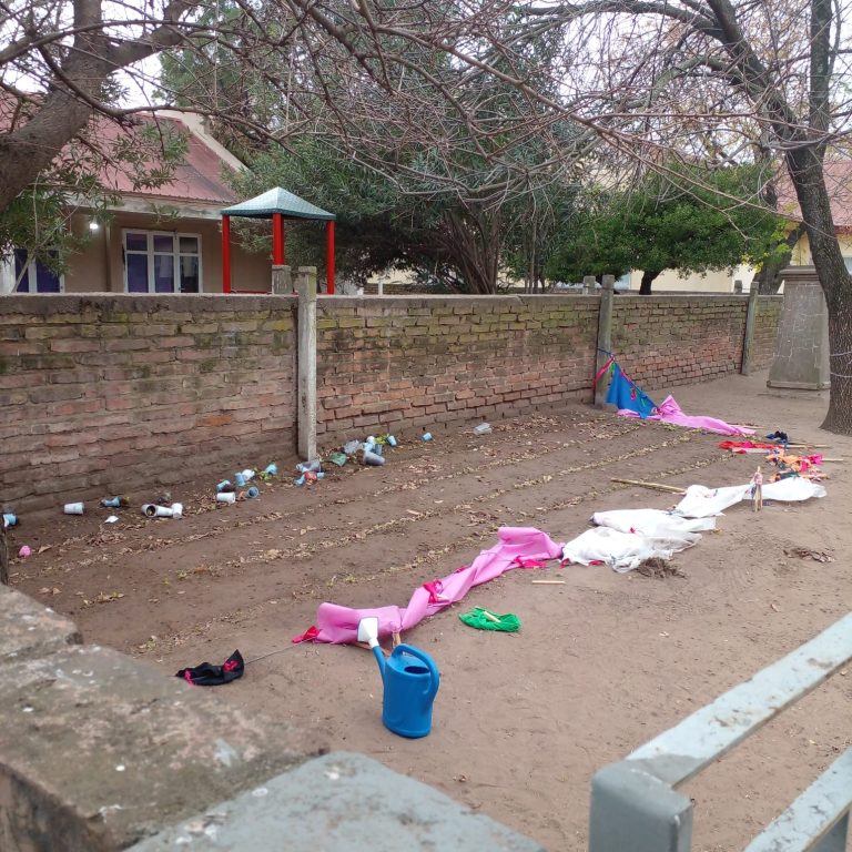 Vandalismo en la Escuela 111: destruyen huerta escolar de alumnos de sexto grado