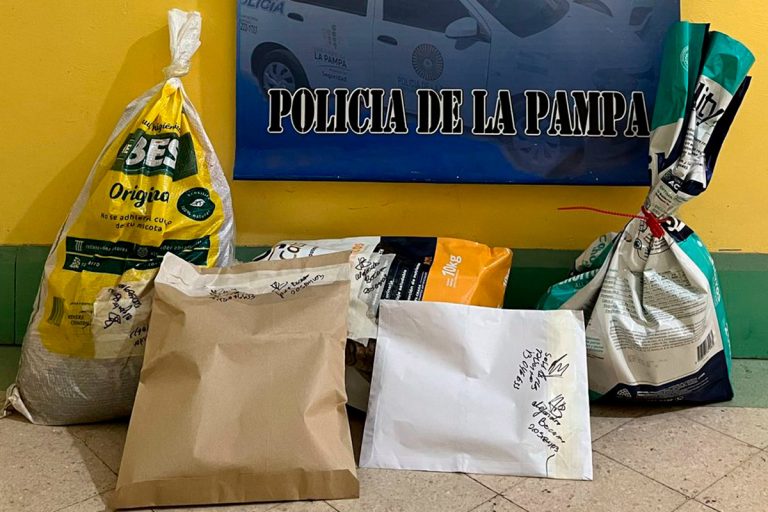 Crueldad y abigeato en General Pico: esclarecen brutal matanza de un caballo y detienen a dos sospechosos