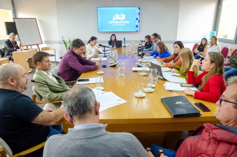 Dictámenes y consensos: intensa jornada legislativa en tres comisiones provinciales