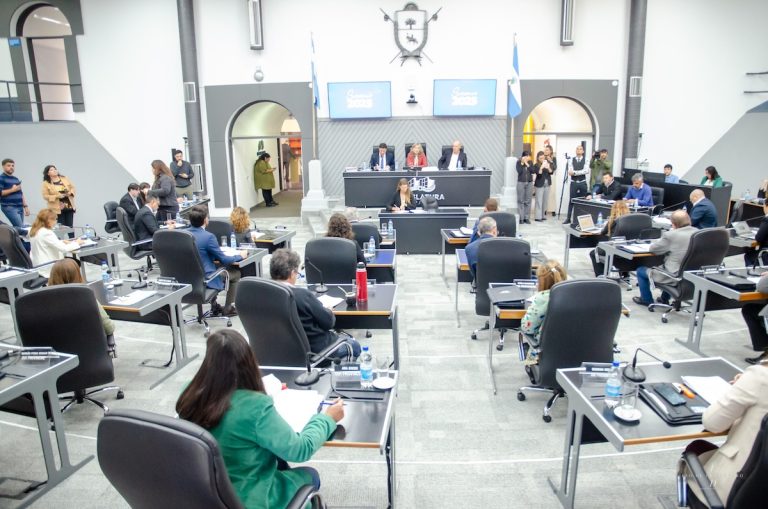 El oficialismo postergó el debate por Medanito ante falta de mayorías en la Legislatura
