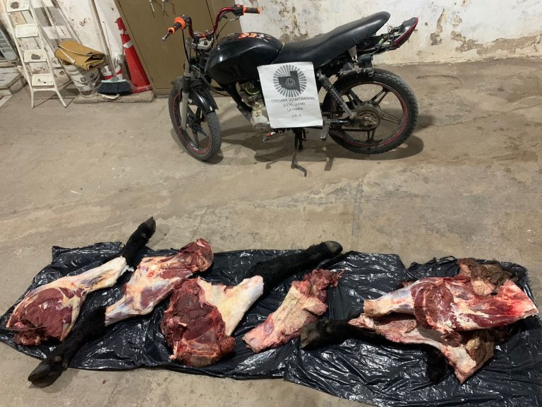 Detuvieron a dos personas por abigeato en Quemú Quemú y recuperaron la carne sustraída