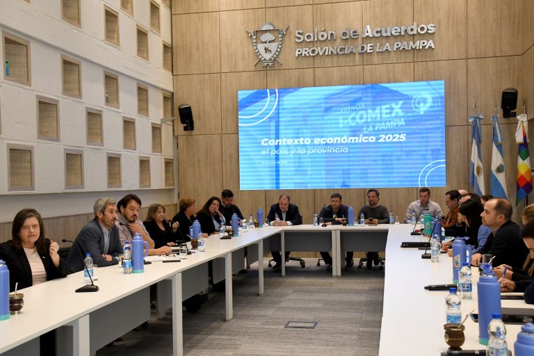 Exportaciones de carne pampeana cayeron 46% en un año