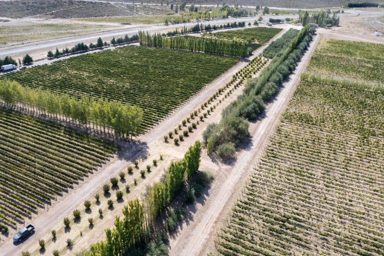 Casa de Piedra: se inicia la segunda etapa de riego para alcanzar 1.500 hectáreas productivas en 2028