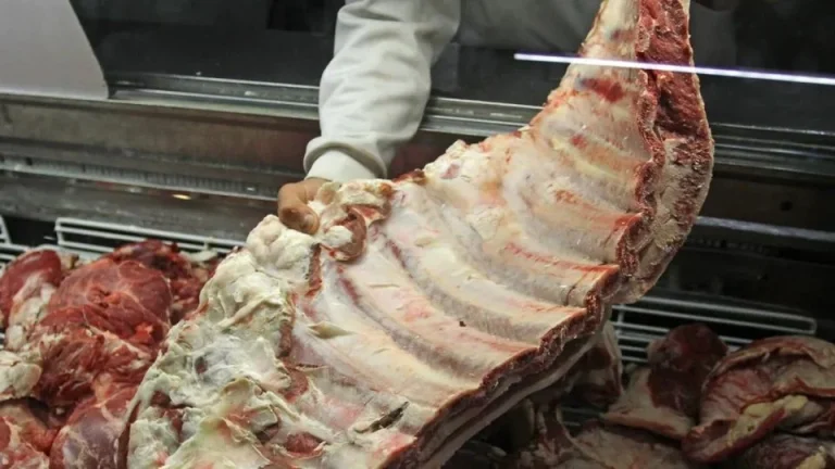 Tras 22 años, autorizaron el ingreso de carne con hueso al sur Argentino desde otras zonas del país
