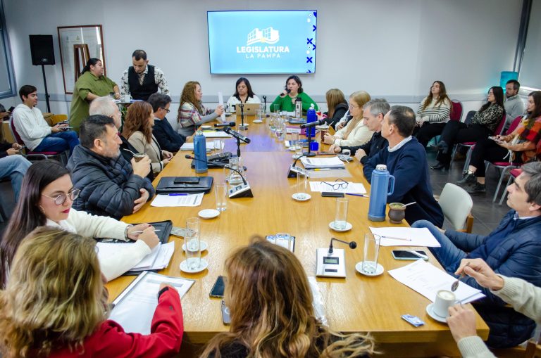 Dictámenes cruzados sobre pasivos ambientales en El Medanito