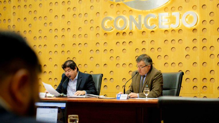 Intensa sesión en el Concejo piquense: reconocimientos a trayectorias y avance de iniciativas legislativas