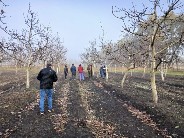Producción de frutos secos: Un intercambio entre La Pampa e INTA para impulsar la diversificación productiva