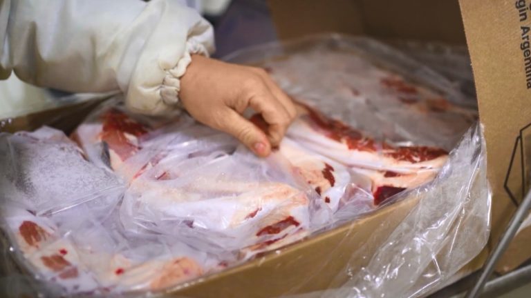 Crisis de exportaciones de carne argentina impacta en La Pampa: caída de 9,6%