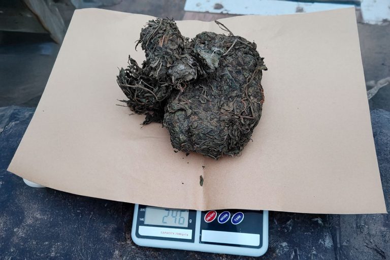 Detuvieron a dos personas por un robo en Intendente Alvear y además les encontraron marihuana