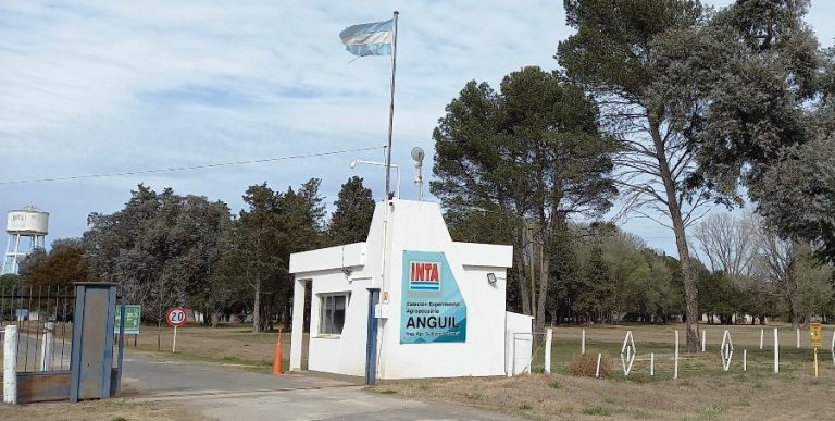 Grave incertidumbre en el INTA La Pampa: “Este decreto significa la destrucción del instituto”, advierten desde el gremio