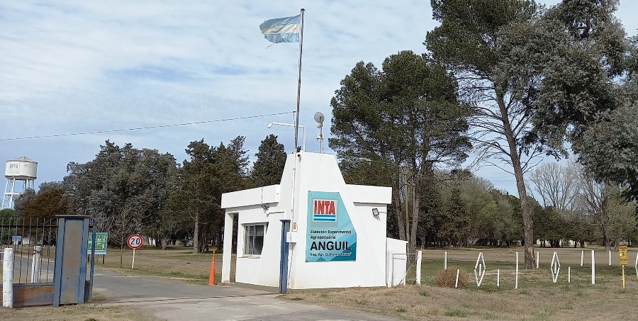 La CGT Centro Sur de La Pampa rechaza la disolución de Vialidad Nacional y la transformación del INTA
