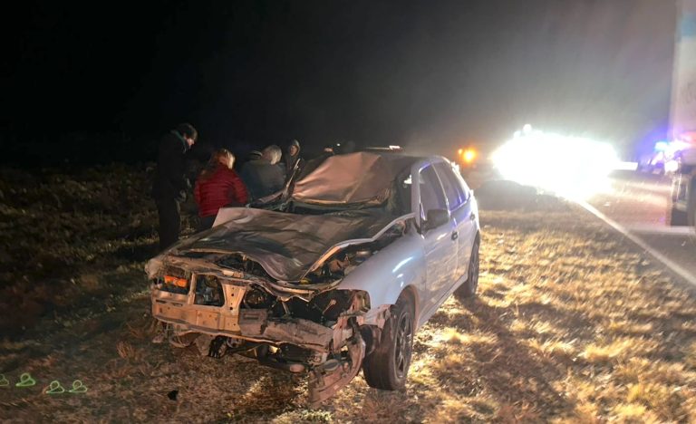 Una pareja fue hospitalizada tras colisionar con un caballo en la Ruta 102 entre Monte Nievas y Metileo