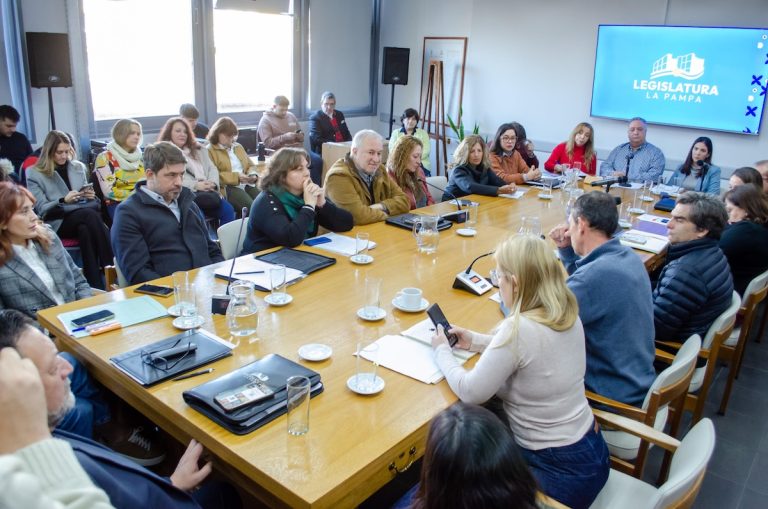 Cruces por el data room de El Medanito: la oposición impulsa contratar una empresa y el oficialismo defiende el informe del Ejecutivo
