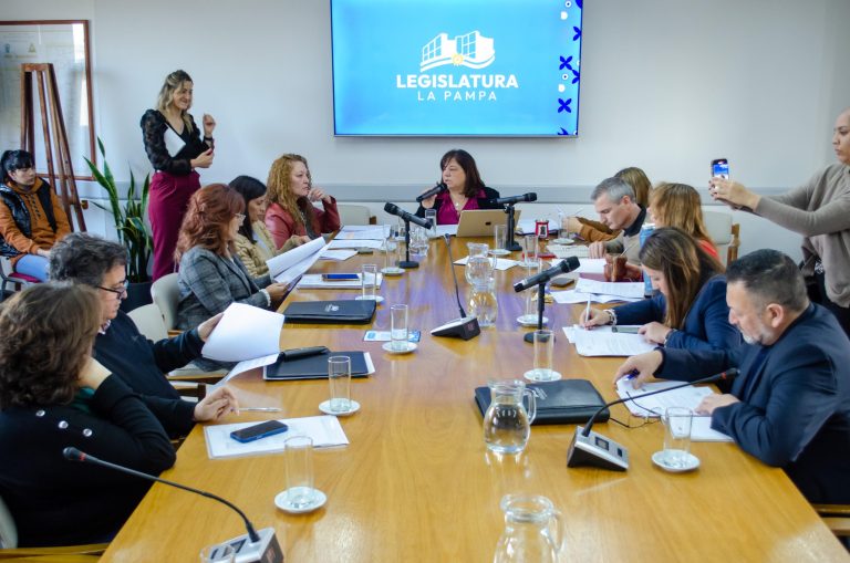 Falta de quórum impide la conformación de la comisión para el Defensor de Niños, Niñas y Adolescentes
