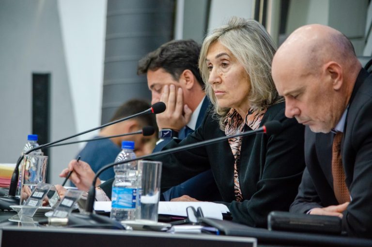 Vicegobernadora desempató y rechazó contratar Data Room para El Medanito