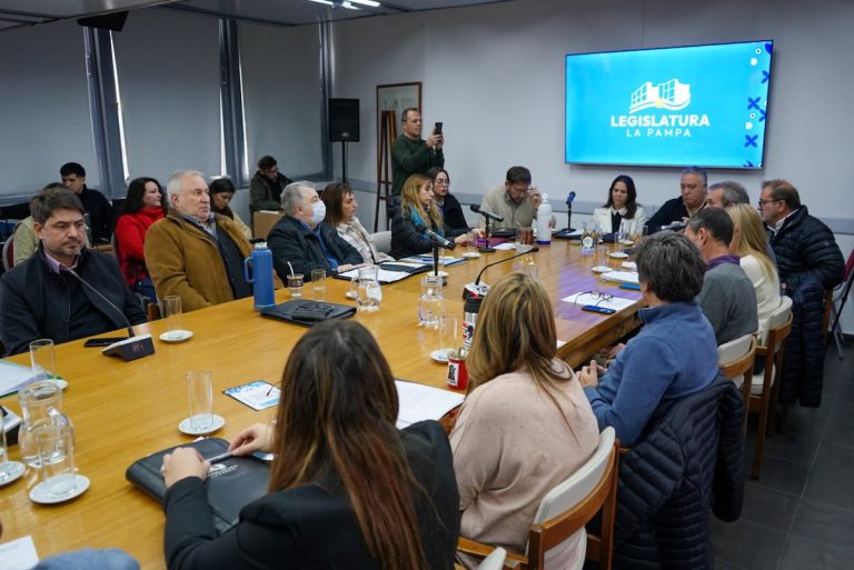 El Plenario comenzó a debatir el acceso al data room de El Medanito