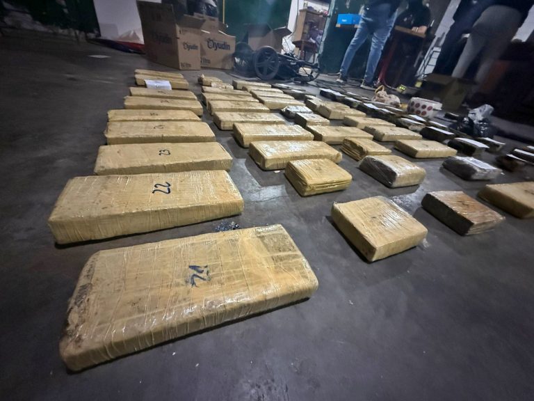 Desarticulan una organización de narcomenudeo en General Pico: cuatro detenidos y más de 64 kilos de marihuana secuestrados