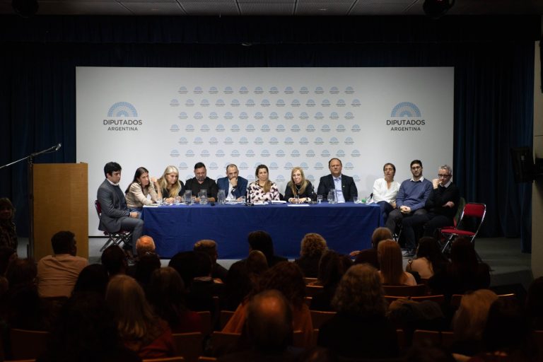 Crisis en la Salud Mental: Provincias alertan sobre el abandono del Gobierno nacional