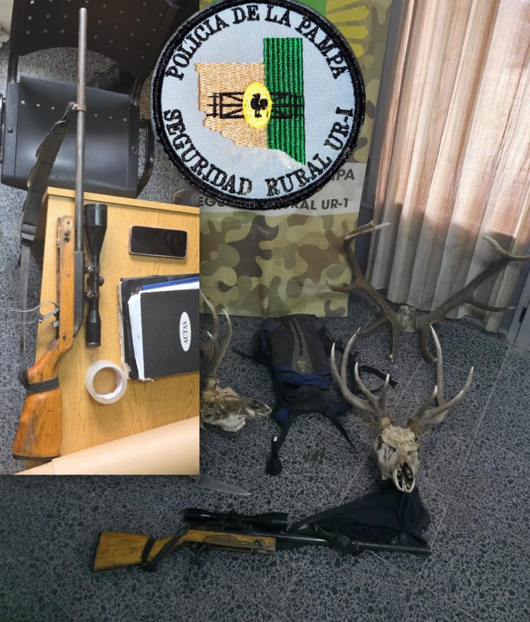 Caza furtiva en La Pampa: Secuestran armas, municiones y animales silvestres