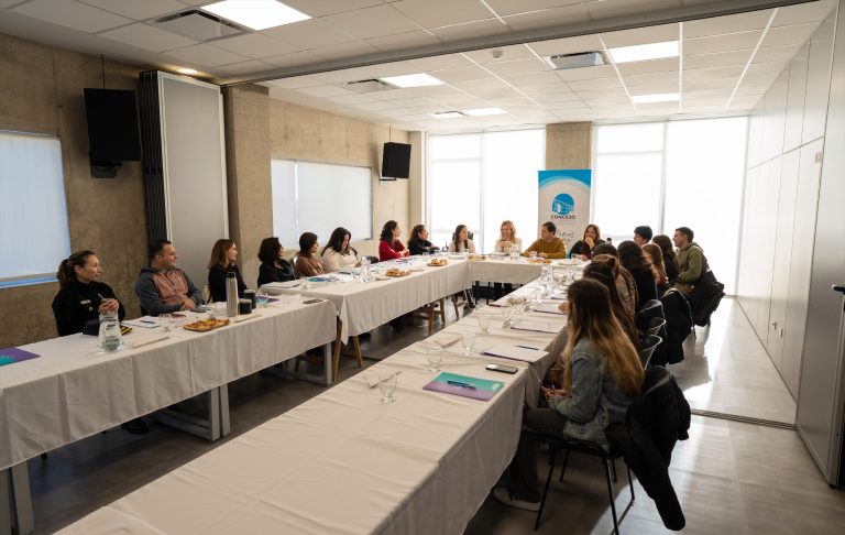 El consejo local de niñez y adolescencia de General Pico realizó su segunda sesión del año