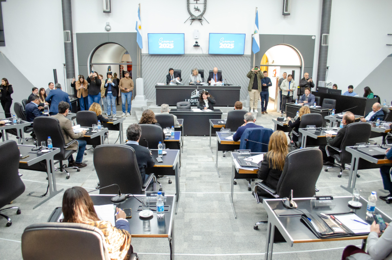 Tensión en la Legislatura: el debate por El Medanito se posterga en medio de reclamos petroleros