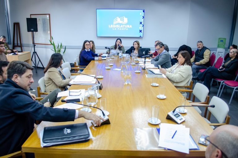 Informe sobre Central Hidroeléctrica Los Divisaderos, entre los temas clave de comisión en Diputados