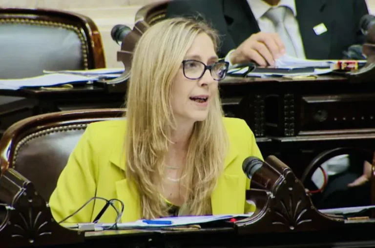 Retroceso en el Congreso: la Cámara de Diputados se aleja de la paridad y la presencia femenina cae al 41%