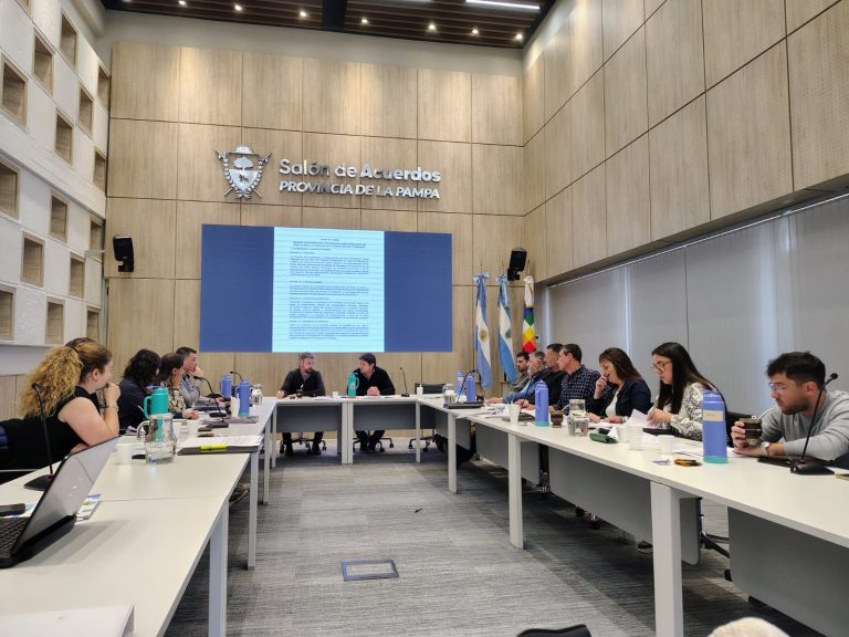 Avanza la elaboración del Pliego de Bases y Condiciones para el área hidrocarburífera “El Medanito”