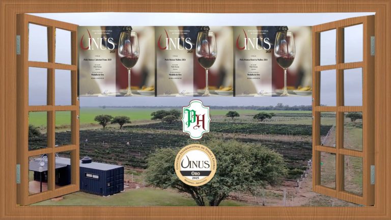 La Pampa brilla en el certamen internacional VINUS 2025 con destacados vinos locales