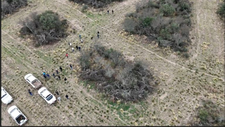 Jornada ganadera en La Pampa: experiencias de manejo sustentable en bosques nativos