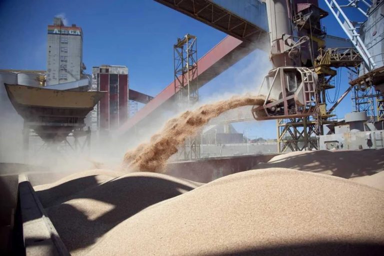 El Gobierno elimina retenciones a los granos hasta el 31 de octubre