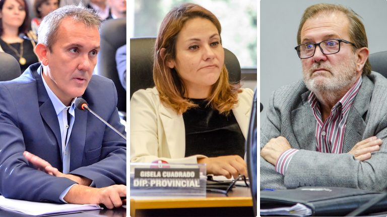 Un sector de la UCR cuestiona la licitación de El Medanito: “Transparencia negada y futuro comprometido”