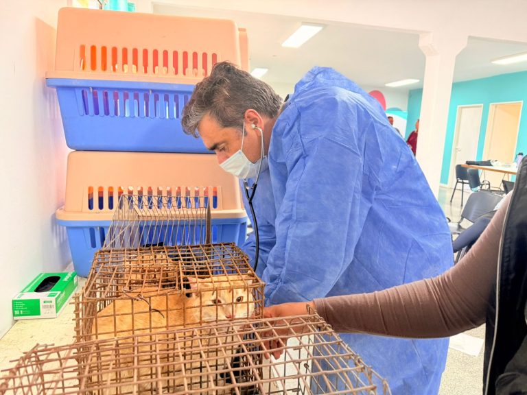 General Pico: 75 castraciones gratuitas en Barrio Malvinas refuerzan la salud animal