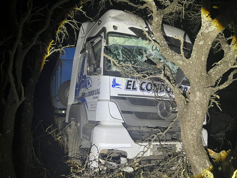 Un camionero de Intendente Alvear despistó en la ruta 102 y terminó entre los caldenes