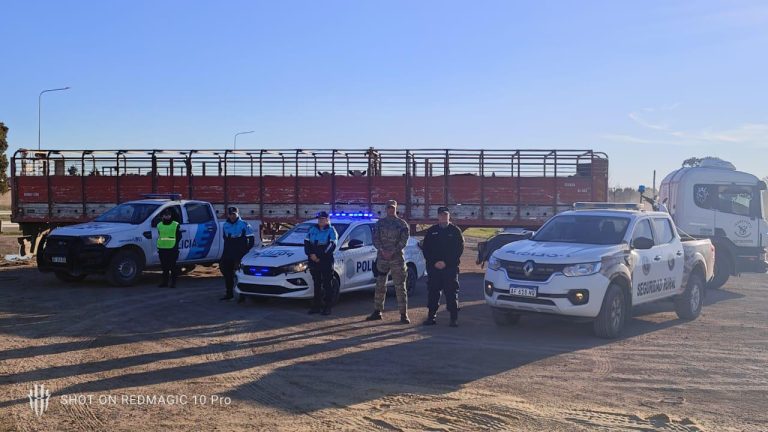 Golpe al abigeato: recuperan en Buenos Aires 27 terneras robadas en La Pampa y hay dos detenidos